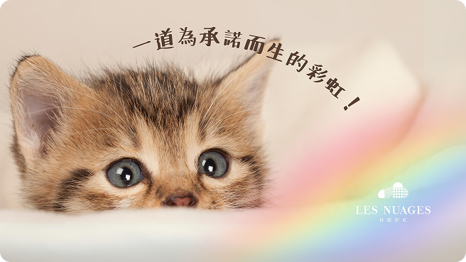 拉諾彩虹 Les Nuages：為承諾而生的彩虹與品牌形象
