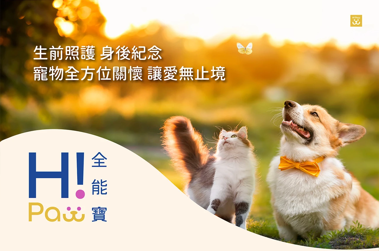 全能寶